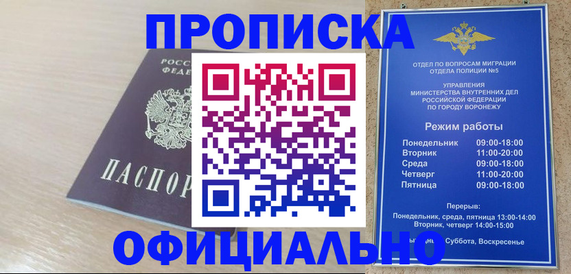 прописка в квартире в Раменском